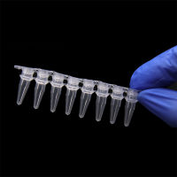 0.10.2ml Pcr 8 Strips Tube Lab Fluorescence Quantitative PCR 8 Tube Strip 200pcs PP Centrifuge Tube With Cover Medical Supplies