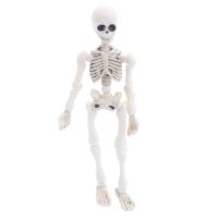 Corinada D7WF Movable Mr. Bones Skeleton Human Model Skull Full Body Mini Figure Toy Halloween