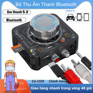 Bộ Thu Âm Thanh Bluetooth 5.0 Bộ Chuyển Đổi Không Dây Âm Thanh Nổi 3D Giắc