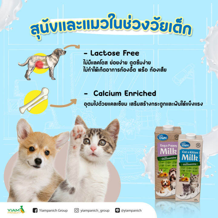 pets-own-dog-amp-puppy-milk-นมพร้อมดื่มสำหรับสุนัขทุกช่วงวัย-จากประเทศออสเตรเลีย-1-000-ml-exp-07-2024