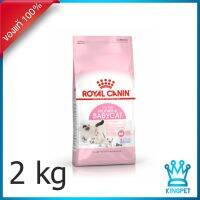 ด่วนโปร ส่งฟรี Royal canin Babycat 2 kg อาหารลูกแมวและแม่แมวให้นม ลูกแมวหย่านม-อายุไม่เกิน 4 เดือน