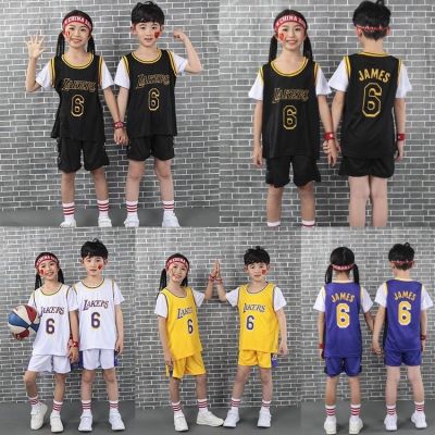 NBA Los Angeles Lakers No.6 LeBron James Kids Uniform Fake Two-Piece Jersey Boys Girls Basketball Jersey Pants Sets