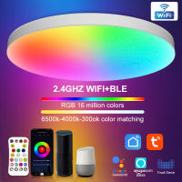 ?รับประกัน 1 ปี?โคมไฟเพดาน LED Smart Ceiling Light โคมไฟเพดานทรงกลม WIFI RGBCW 220V หรี่แสงได้ TUYA APP เข้ากันได้กับ Alexa Google ไฟติดห้องนอน