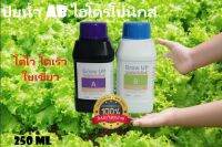 ปุ๋ยน้ำAB ปุ๋ยไฮโดรโปนิกส์ ขนาด 250 ml