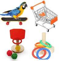 [COD] chewing toy bird basketball stand interactive ring skateboard shopping cart four-piece set