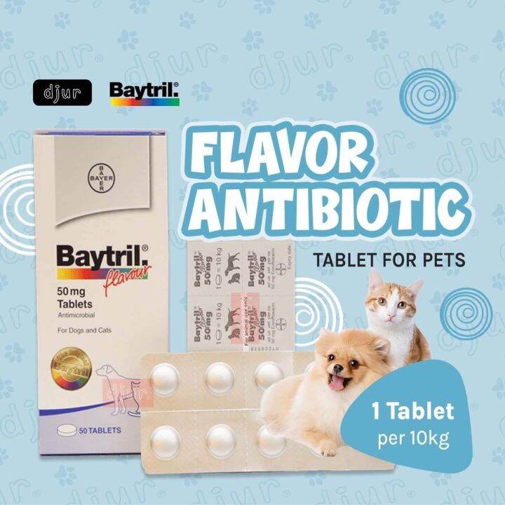 BAYTRIL 50mg Flavor Antibiotic Tablet for Pets Lazada PH