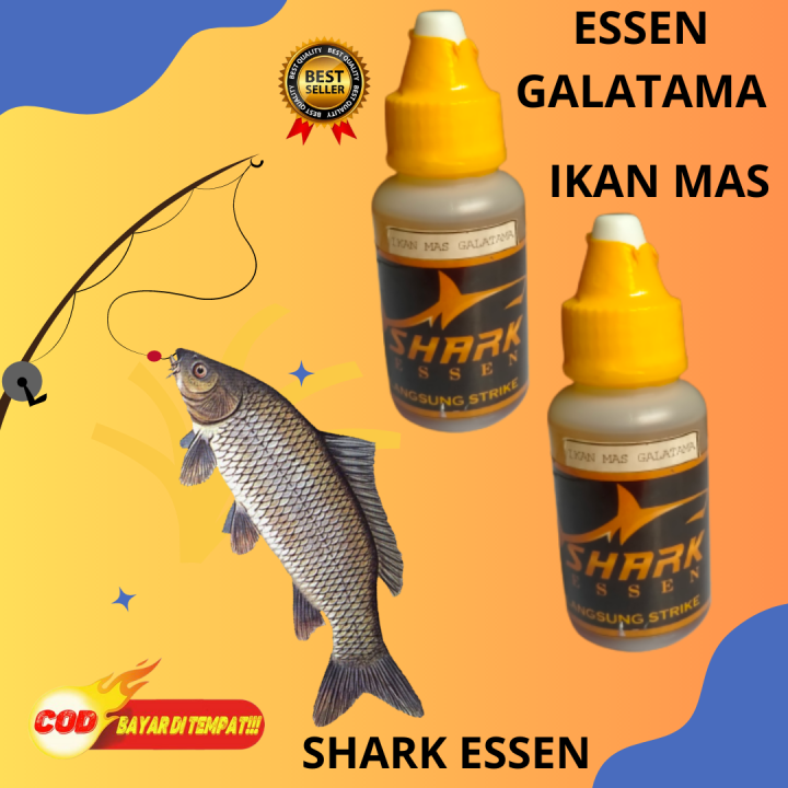 Essen Ikan Mas Galatama Lomba Paling Ajib Lazada Indonesia