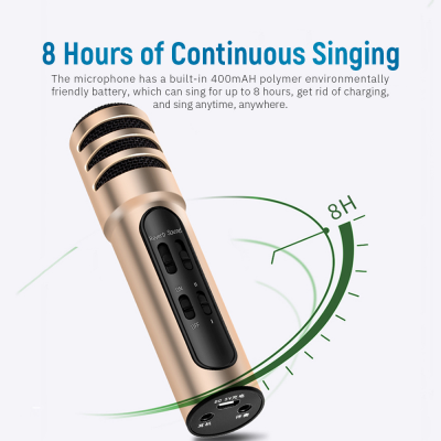 DUDETAO BGN-C7 Condenser Microphone Dual Mobile Phone Karaoke Live Singing Microphone Built-in Sound Card
