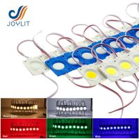 แม่พิมพ์ฉีด12V 2.4W DC 24V ชมพูแดงฟ้าโมดูล LED สีขาวอบอุ่นสำหรับไฟกล่องโฆษณา20ชิ้น