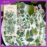 CHIZH กระดาษ Washi สติกเกอร์ติดผนัง สีเขียวอ่อน สติ๊กเกอร์ลายต้นไม้ อุปกรณ์ทำสมุดภาพ สติกเกอร์แบบใส ดีไอวาย