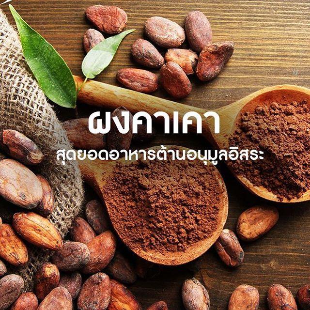 คาเคา-คาเคาผง-ผงคาเคา-cacao-คาเคาออร์แกนิค-organic-cacao-powder-คาเคา-พาวเดอร์-คาเคาแท้-organic-superfoods-โกโก้-ตรา-greenektar-ขนาด-100-กรัม