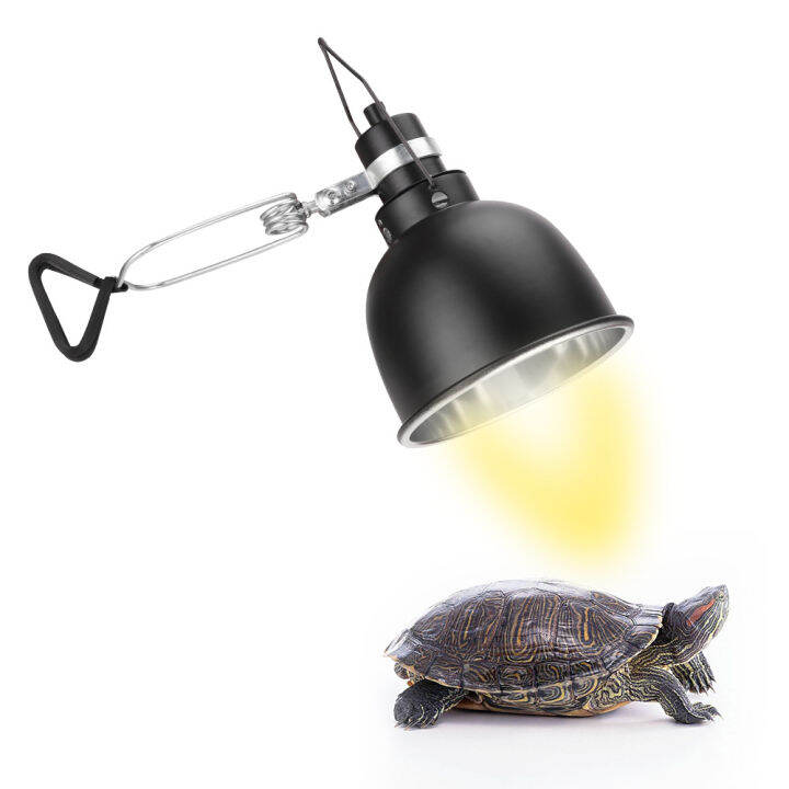 Basking bulb for clearance tortoise