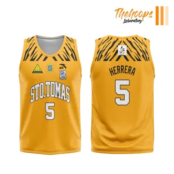 Tigers FOOTBALL Jersey – 7817 Designs