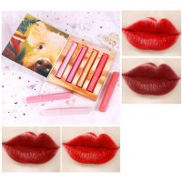 [Wilkl] 4pcs Lipstick Lightweight Lip Glaze Set Velvet Rotten Tomato Reddish Brown Waterproof Colorfast Lipstick