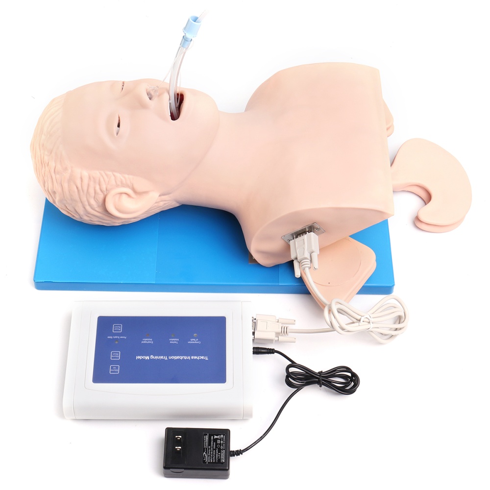 PVC Material Pediatric Intubation Manikin Study Teaching Baby Model Education Nurse Lab Airway Management Trainer Endotracheal Intubation Procedure Teaching Study 