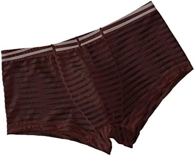Soluo Mens Trunks Underwear Mesh See Through Boxer Briefs Comfort Breathable Panties Underpants Transparent Short Leg Pants
