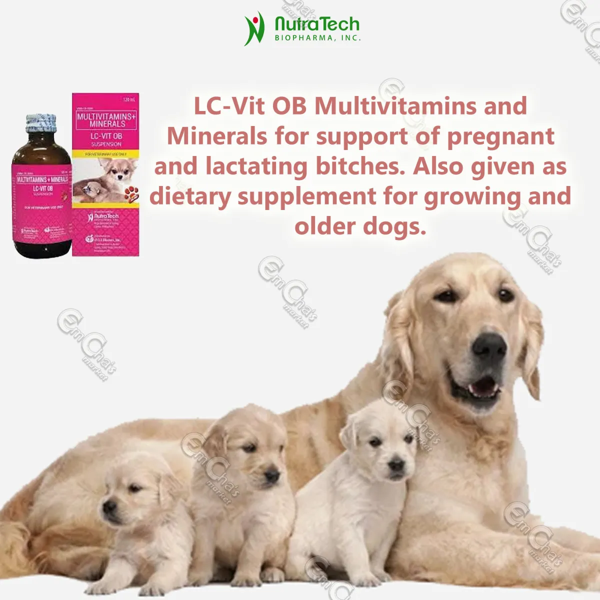 what supplements should i give my pregnant dog