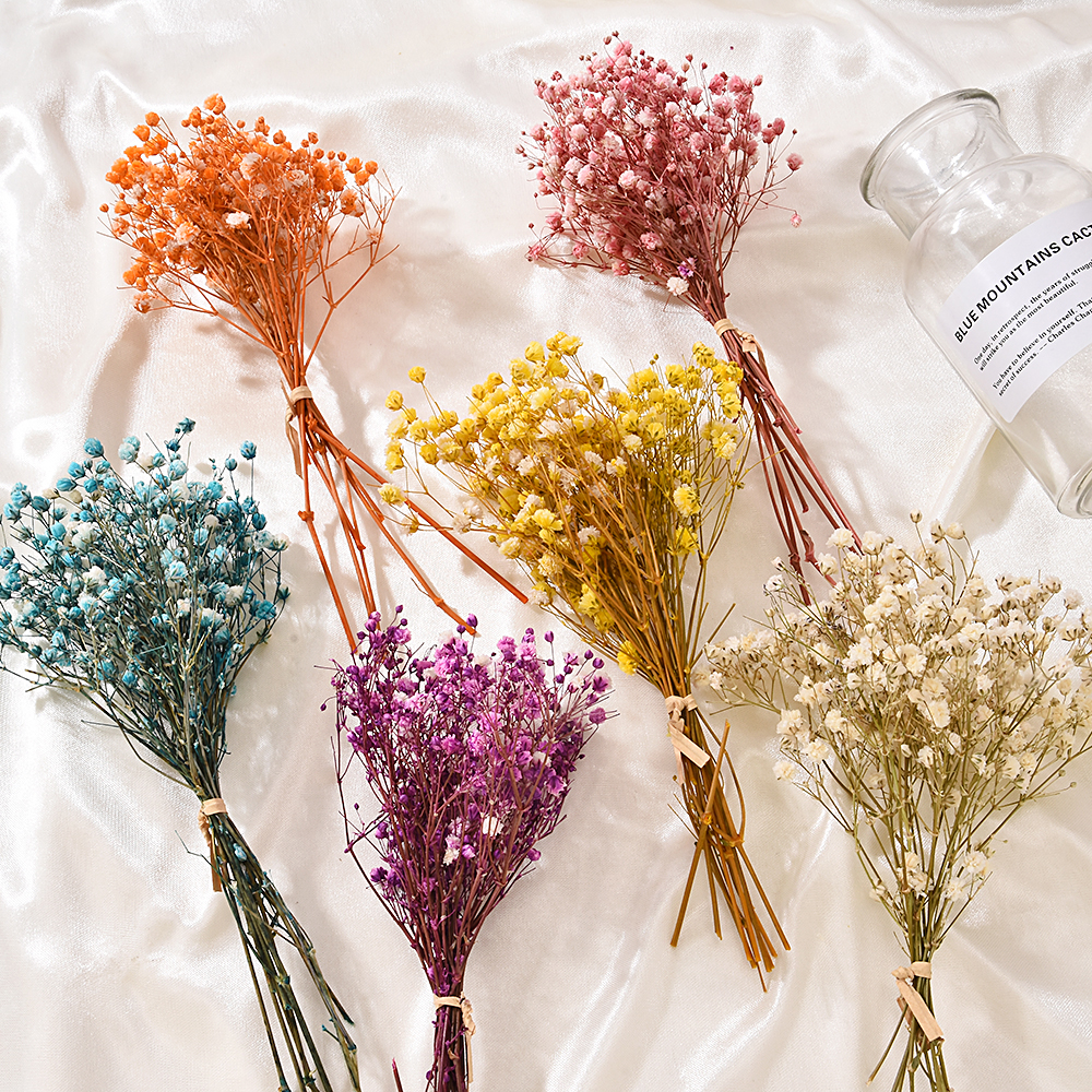 Shooting Props Real Flower Plant Stems Natural Material Dried Flowers Bouquets