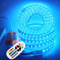 【✆New✆】 sunzhez ชุด24key ปลั๊กแถบไฟ Led ไฟ Rgb 220V แบบยืดหยุ่นชุดรีโมทคอนโทรล5050ไฟ60 Les/ M Ip67กันน้ำดิ้นไฟเส้น Led ตกแต่งบ้าน