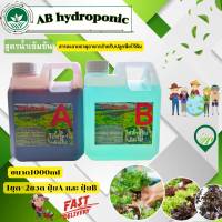 ปุ๋ยไฮโดรโปนิกส์ ปุ๋ยAB ปุ๋ยน้ำ ปุ๋ยผักสลัด สำหรับปลูกผัก Hydroponics ขนาด1000ML New สูตรใหม่ ติดตามร้านมีส่วนลด