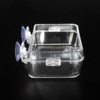 Transparent Reptile Feeder Anti escape Food Bowl Turtle Lizard Worm Food Container