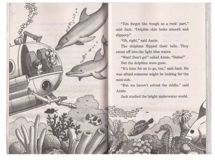 magic-tree-house-28-เล่ม-เหมาะสำหรับให้เด็กๆฝึกอ่าน-หรือ-ใช้อ่านนอกเวลา-เพื่อเสริมทักษะภาษาอังกฤษ