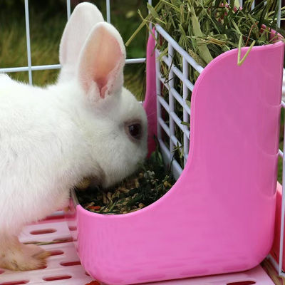 【2 in 1】กล่องใส่หญ้า กล่องใส่อาหารกระต่าย รางใส่หญ้ากระต่าย ที่ให้อาหารกระต่าย สินค้าพร้อมส่งจากไทย