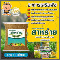 อาหารเสริมพืช สาหร่ายสกัดชนิดผง สูตรเข้มข้น ตราปูทอง หนัก 10 กิโลกรัม สาหร่ายเร่งดอก เร่งโต สาหร่ายเปิดตาดอก สาหร่ายเร่งโต บำรุงต้นไม้