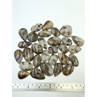 1Pc Natural Mushroom Jasper Cabochon for making Jewelry wire wrapping healing reiki