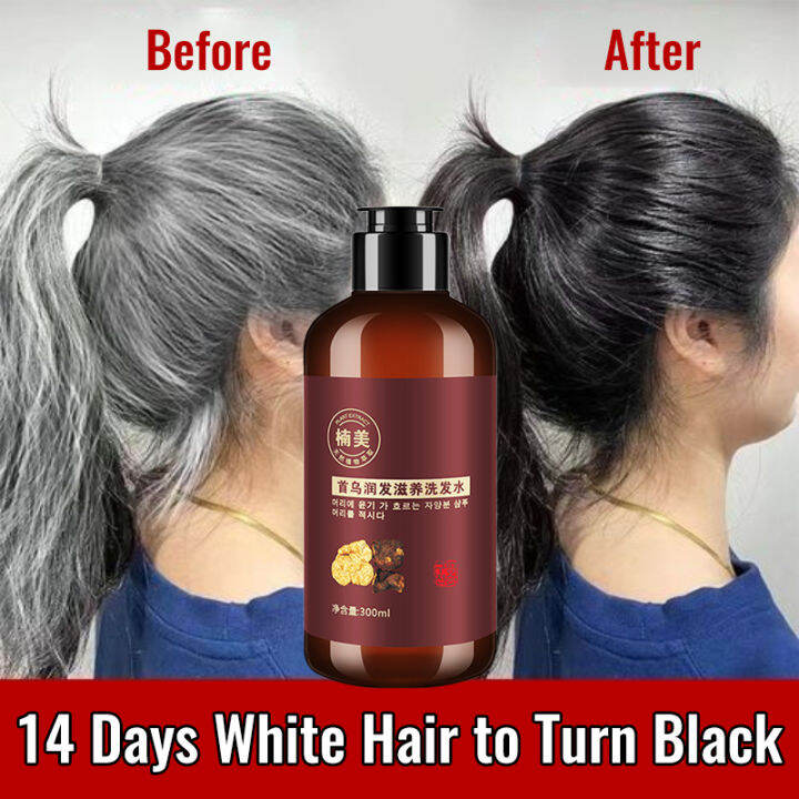 Polygonum Multiflorum Shampoo, Shampoo 300ML Shampoo, White Hair