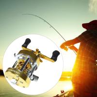 W300 Left/Right Hand Baitcasting Fishing Reel 5.0:1 Gear Ratio