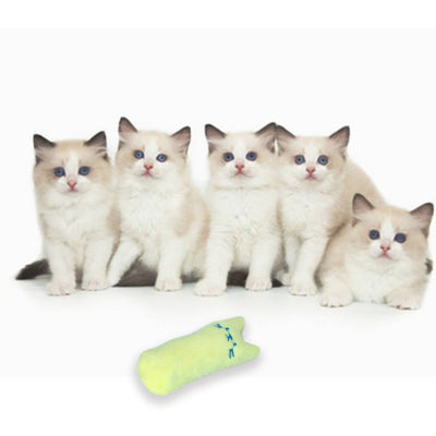 ของเล่นเคี้ยวแมวพร้อมของเล่นหยอกล้อแคทนต่อการกัดสำหรับแมวในร่มการตีและไล่ล่า