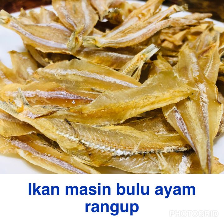 Ikan Masin Bulu Ayam Sabah 250 Gram Lazada