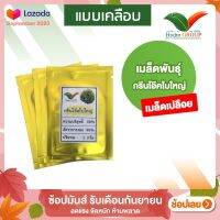 เมล็ดกรีนโอ๊ค ใบใหญ่ ชนิดเปลือย By Hydroponicgroup