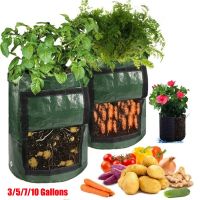 Plant Growth Bag Home Garden Potato Greenhouse Vegetable Planting Bag Moisturizing Vertical DIY Planter Grow Bag Seedling Pot