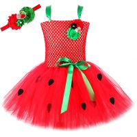 Red Sweet Strawberry Tutu Dress For Baby Girls Christmas Halloween Costumes For Toddler Kids Birthday Dresses Fruit Tulle Outfit