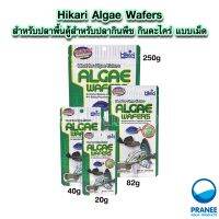 Hikari Algae Wafers สำหรับปลาพื้นตู้สำหรับปลากินพืช กินตะไคร่ แบบเม็ดจม 40-82g.