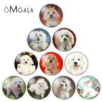 Oil Painting DOG mixed 12mm/18mm/20mm/25mm glass snap button Round photo glass cabochon demo flat back Making findings Drawing Painting Supplies