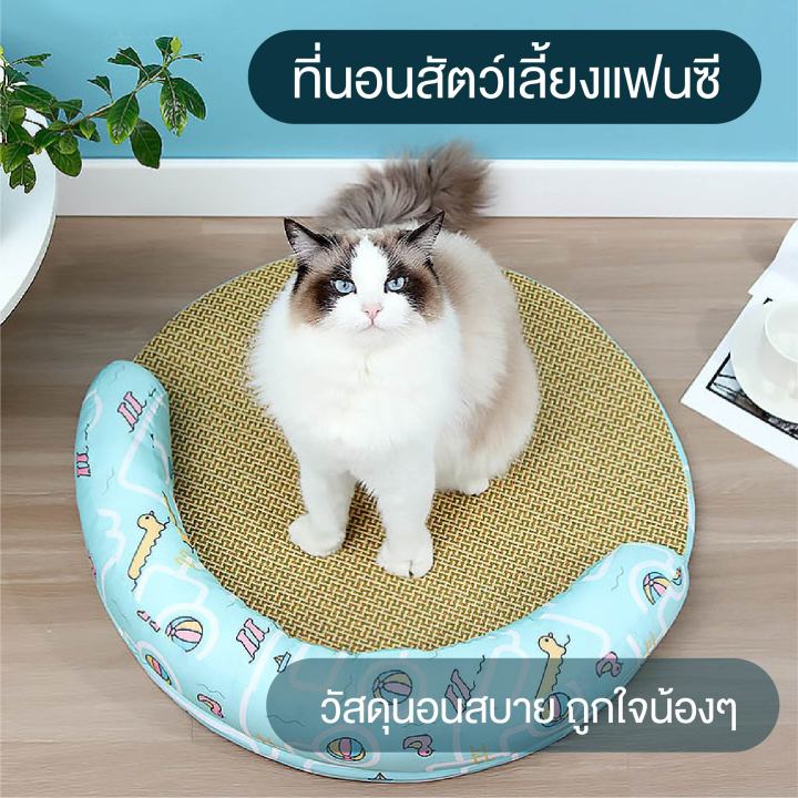 petparadise-th-ที่นอนแมวแมวเสื่อฤดูร้อน-ที่นอนแมว-ที่นอนแบบเสื่อ-ที่นอนเสื่อ-เบาะแมว-เบาะเสื่อแมว-เบาะรองนอนแมว