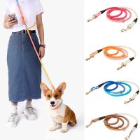 Walking Pet P-Chain Collar Leash for Small Medium Large Dogs Pincher Pomerian Double Puppy Dog Leashes mascotas Traction Rope Leashes