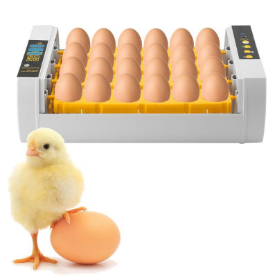 [100% Original] SEAAN 24 ไข่ Digital CLEAR Hatcher อุณหภูมิออโตเมติกประหยัดพลังงาน Quail Brooder สำหรับ Home FARM