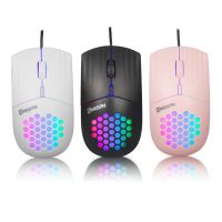 【City of Angels】เมาส์แบบมีสาย Usb/type C 1600 DPI RGB Backlit Mice เมาส์สำหรับเล่นเกมรังผึ้งสำหรับคอมพิวเตอร์ iPad Mac แท็บเล็ต Macbook Air แล็ปท็อปพีซี