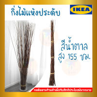 IKEA : อิเกีย TORKA ทอร์คก้า กิ่งไม้แห้งตกแต่ง, น้ำตาล, 155 ซม.