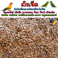 ลินซีด Linseed แบ่งขาย 500-1000 กรัม  เมล็ดนำเข้าเกรด AAAA อาการนกแก้วขนาดเล็ก เลิฟเบริ์ด ฟอพัส นกแก้ว นกเขาเล็ก