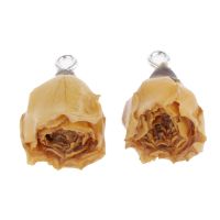 “：{+ 2Pieces Resin Dried Flower Charms DIY Jewelry Making Findings