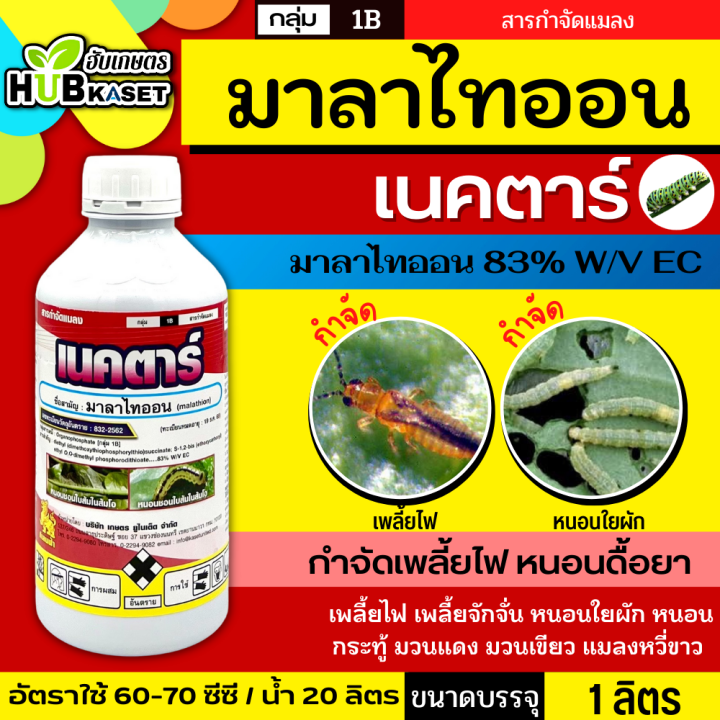 เนคตาร์ 1ลิตร (มาลาไทออน) กำจัดด้วงหมัดผัก เพลี้ยแป้ง เพลี้ยหอย บั่ว