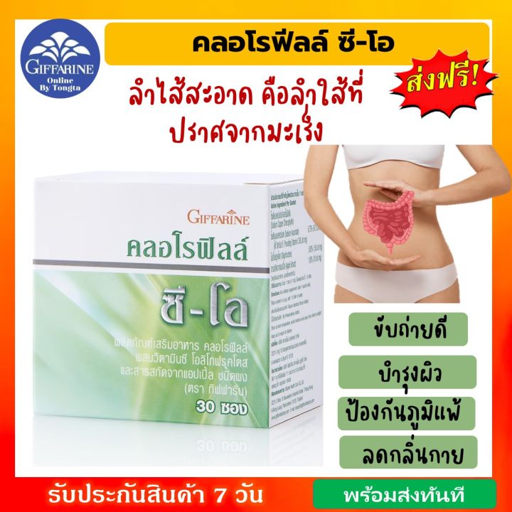 คลอโรฟิลล์-กิฟฟารีน-ของแท้-ส่งฟรี-chlorophyll-คลอโรฟิลล์ซีโอ-กลิ่นแอปเปิ้ล-เครื่องดื่ม-มีหลายรุ่นให้เลือก-ส่งฟรี-ส่งเร็ว