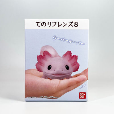 Axolotl Bandai Tenori Friends 8 โมเดลสัตว์ แอกโซลอเติล หมาน้ำ