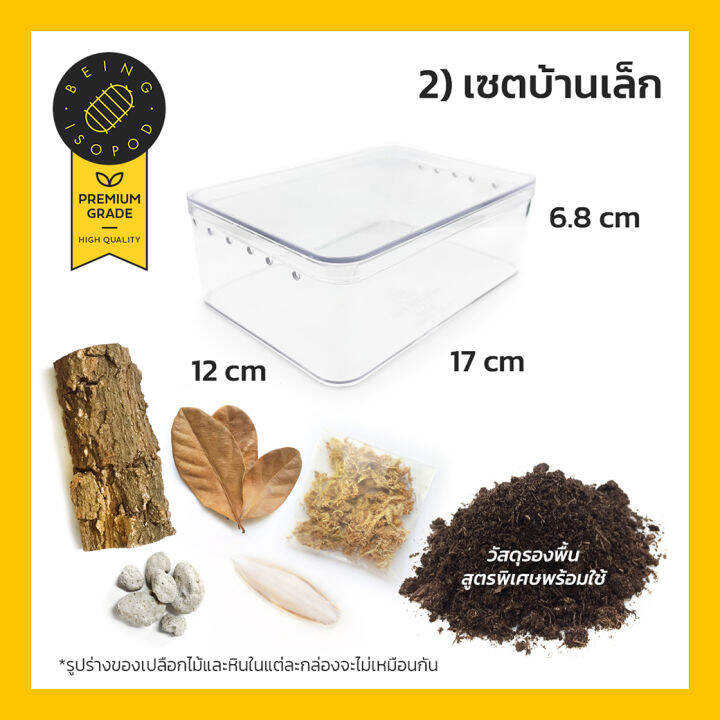 being-isopod-ไอโซพอด-อุปกรณ์เลี้ยงไอโซพอด-เปลือกไม้-ไม้โพรงกลม-เซตเลี้ยงไอโซพอต-พีทมอส-หิน-กระดองปลาหมึก-มอส-isopod-ด้วง-แมงมุม