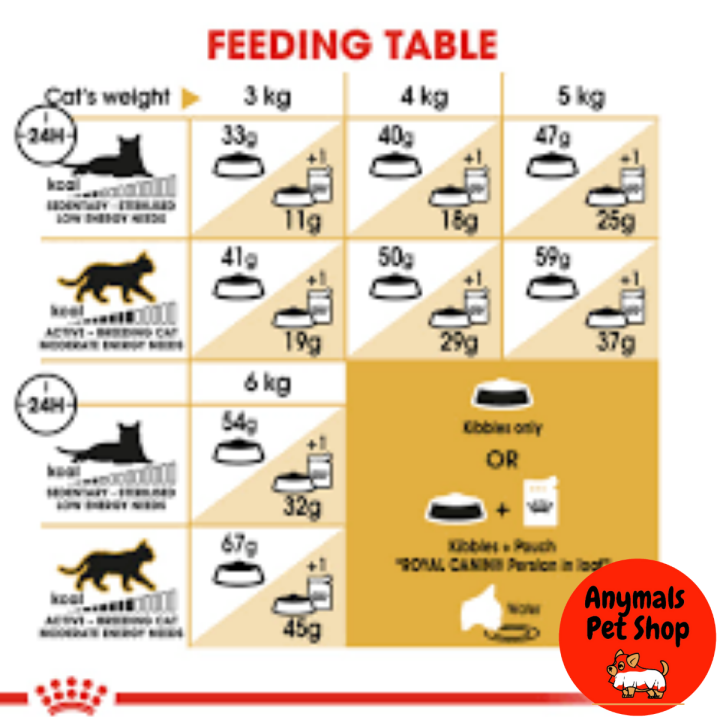 royal-canin-kitten-persia-4-kgs-โรยัลคานิน-สูตร-ลูกแมวเปอร์เซีย-4-กิโลกรัม